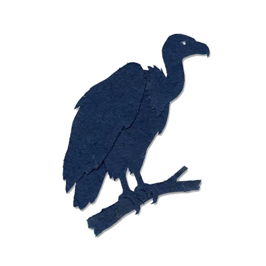 Silhouette of Vulture
